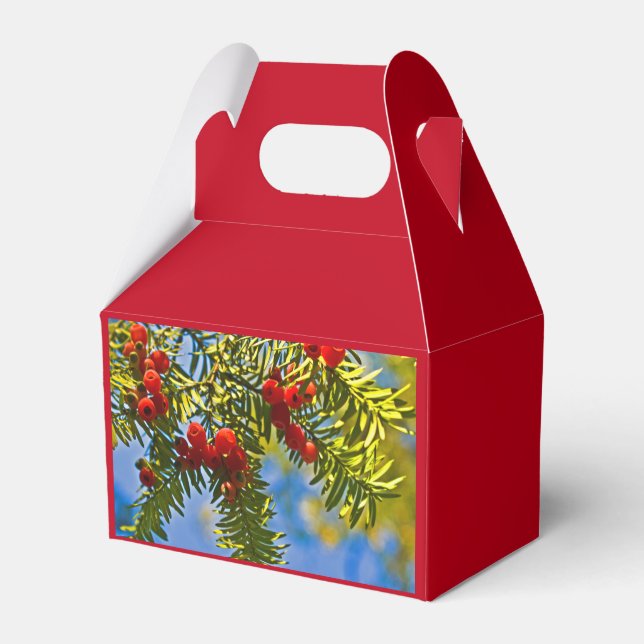 Holiday Conifers Favour Box (Back Side)
