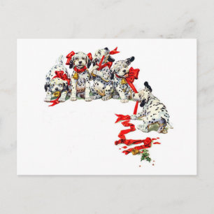 Holiday Dalmatian Pups Postcard