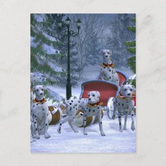 Holiday Dalmatians Postcard