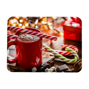 Holiday December 25th White House Christmas Lights Magnet