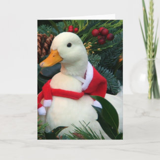 Holiday Duck Card
