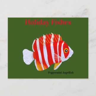 Holiday Fishes Peppermint Angelfish Postcard