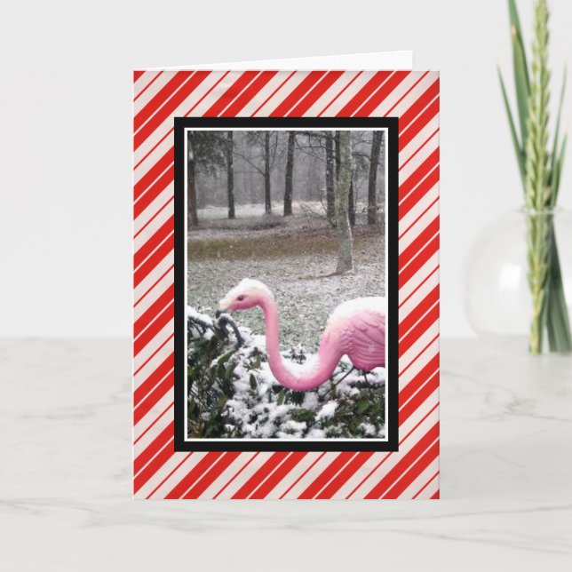 Holiday Flamingo Greeting Card (Front)