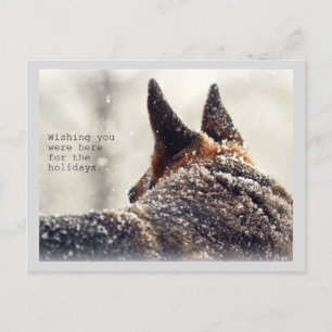 Holiday German Shepherd