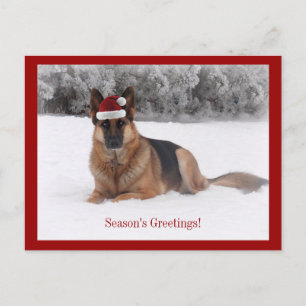 Holiday German Shepherd