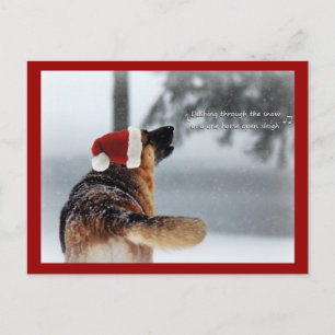 Holiday German Shepherd