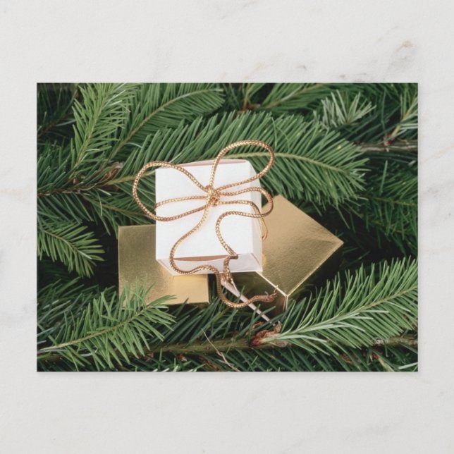 Holiday Gifts In Tree Postcard (Front)