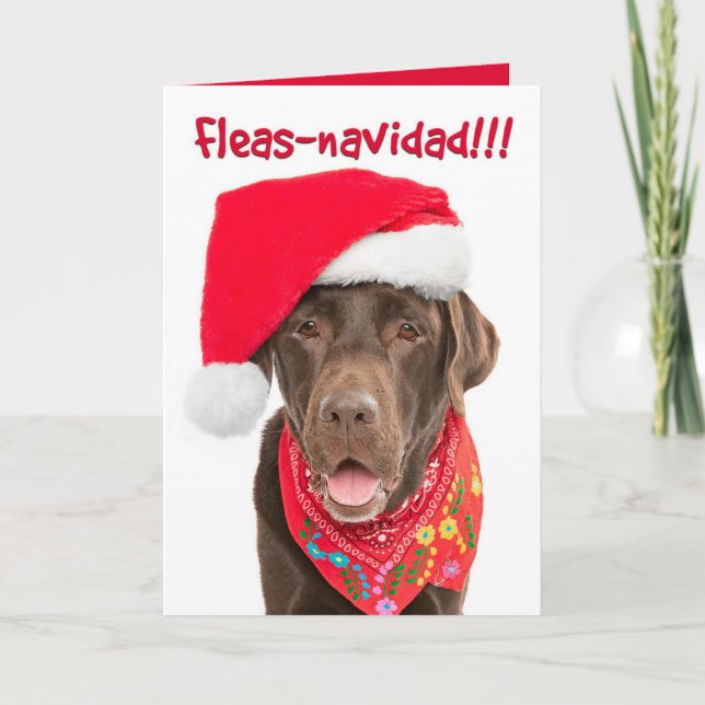 Holiday Greeting Card-Chocolate Lab Card (Front)
