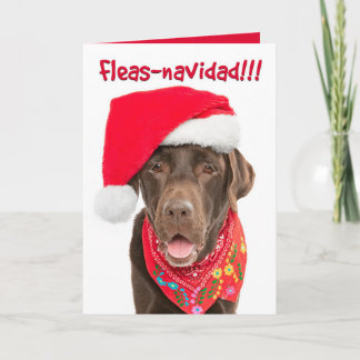 Holiday Greeting Card-Chocolate Lab Card