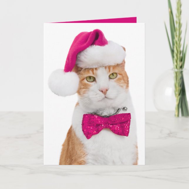 Holiday Greeting Card-Spunky Kitty Card (Front)