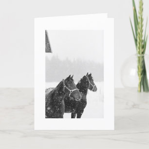 Holiday Greeting Snow Horses Xmas Equine Christmas Card