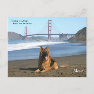 Holiday Greetings from San Francisco