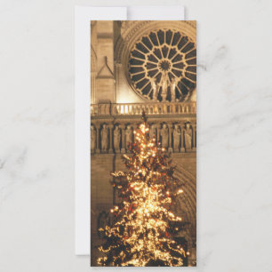 Holiday Greetings Greeting Card