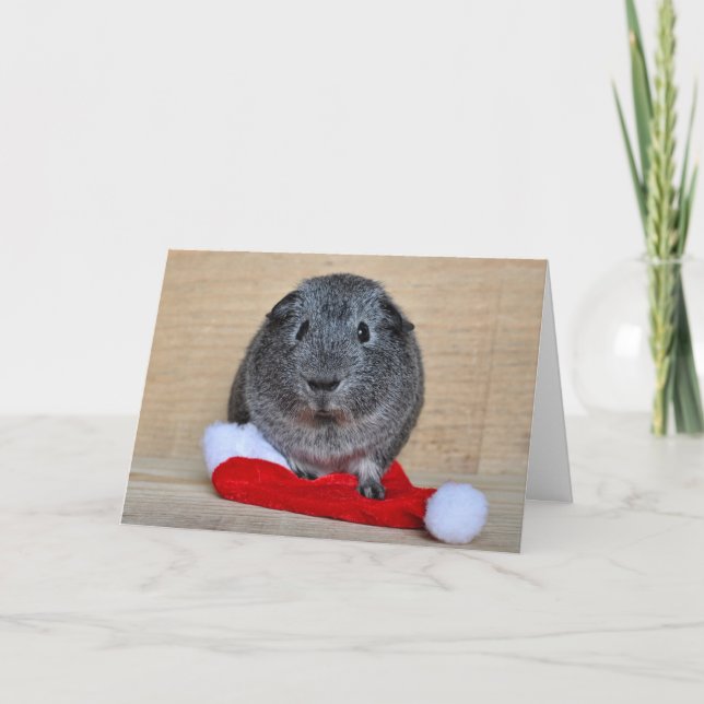 Holiday Guinea Pig Card (Front)