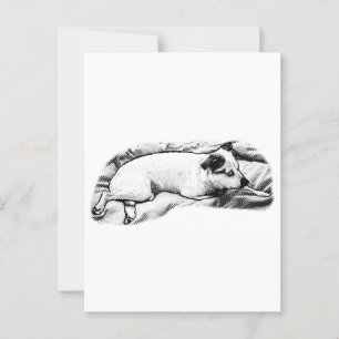 Holiday Hello from Blanket and Buddy Postcard