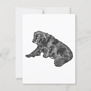 Holiday Hello from the Lounge Dog Postcard