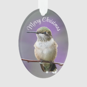 Holiday Hummingbird Acrylic Ornament