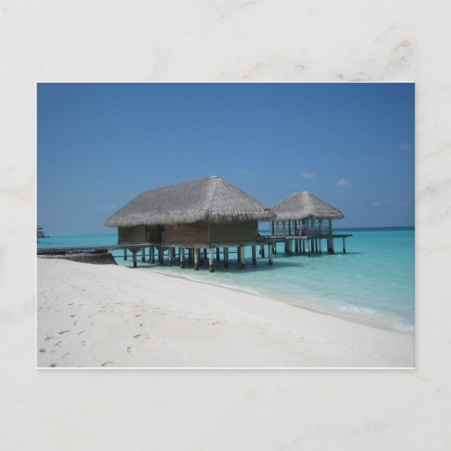 Holiday in Maldives Postcard (Front)