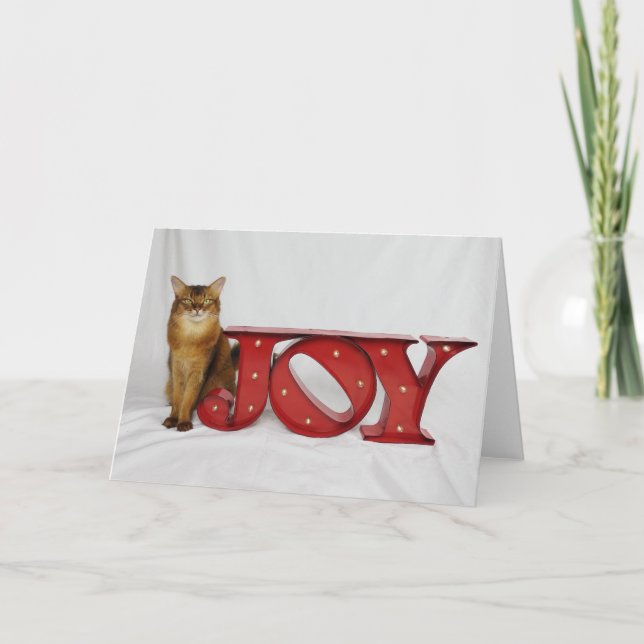 Holiday Joy featuring Summer Samba (Front)