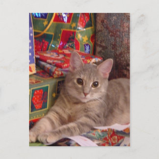 Holiday Kitty Postcard