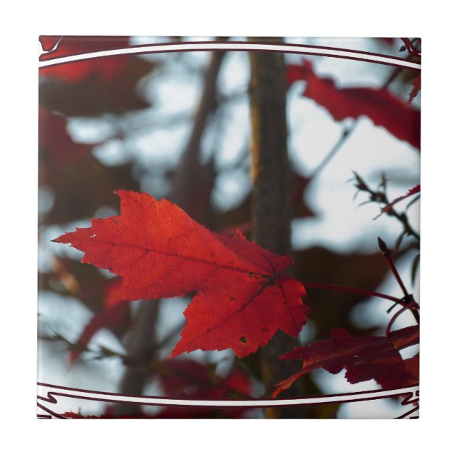 Holiday Leaves Ceramic Tile (Front)