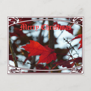 Holiday Leaves Postcard
