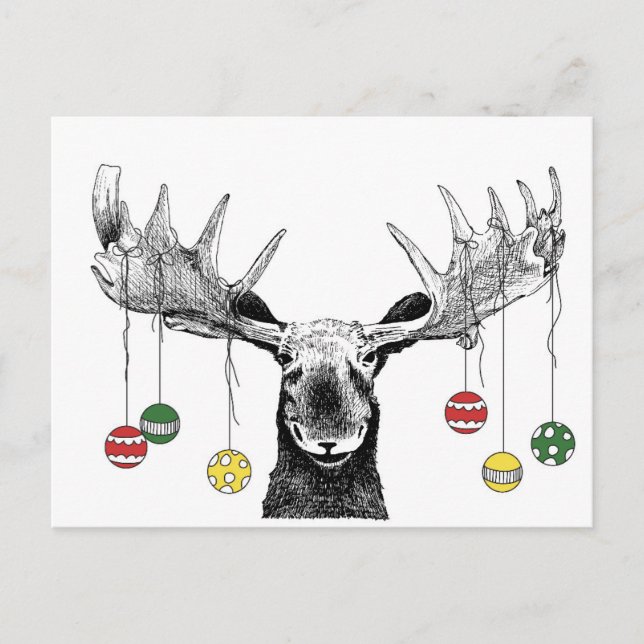 Holiday Moose Postcard (Front)