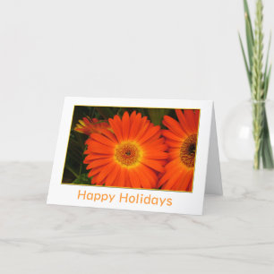 Holiday orange daisy flower Christmas, holiday Card