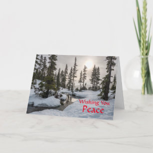 Holiday Peace  Card