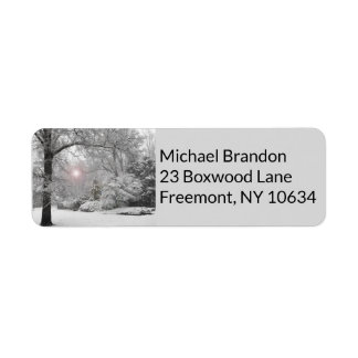 Holiday peace snow sun return address label
