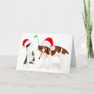 Holiday Pet Mischief Card