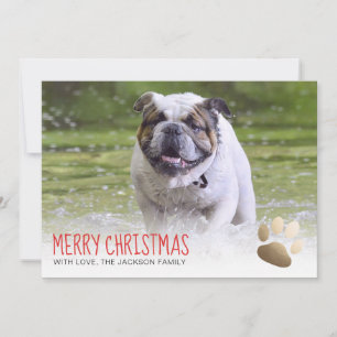 Holiday Photo Card   Gold Paw Dog