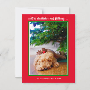HOLIDAY PHOTO Not A Creature Was Stirring Card