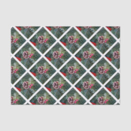 Holiday Pine Tissue Paper