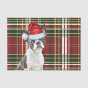 Holiday Plaid Christmas Boston Terrier Dog Lover Tissue Paper