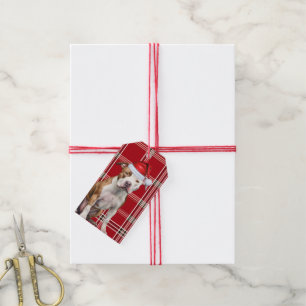 Holiday Plaid Staffordshire Dog Lover Christmas Gift Tags