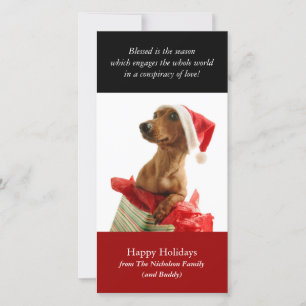 Holiday Puppy Photo Card
