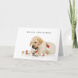 Holiday Puppy Playtime Card