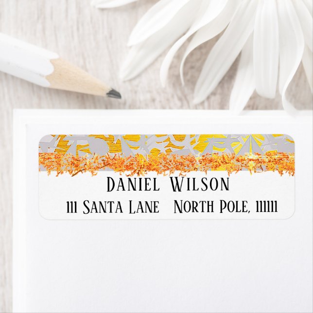 HOLIDAY RETURN ADDRESS LABEL (Insitu)