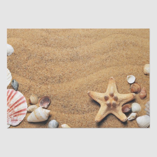 Holiday Seashells Beach  Tissue Paper (Front)