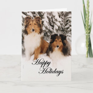 Holiday Shelties