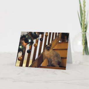 Holiday Siamese 2 Card