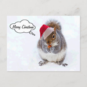 Holiday Squirrel