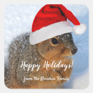 Holiday Squirrel Square Sticker