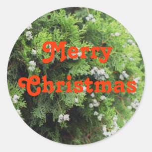 Holiday tree classic round sticker