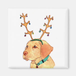 Holiday Yellow Lab Magnet