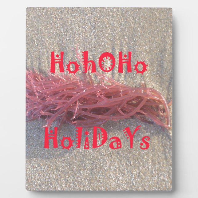 Holidays from the Beach Collection. Plaque (Front)