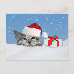 Holidays, Kitten in Santa Hat Holiday Postcard