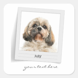Holidays Pet Birthday Photo Frame Personalised Square Sticker
