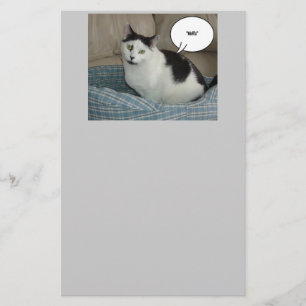 Holla Cat Humour Stationery